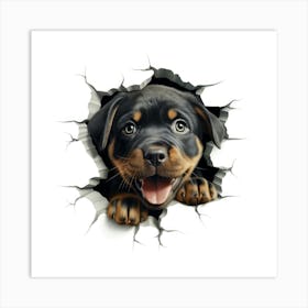 Rottweiler Puppy Art Print