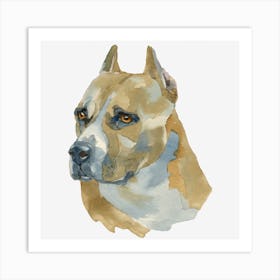 The American Staffordshire Terrier Art Print