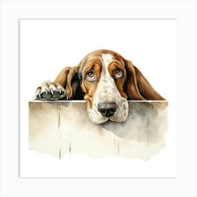 Basset Hound 6 Art Print