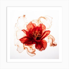 Red Peony Flower Art Print