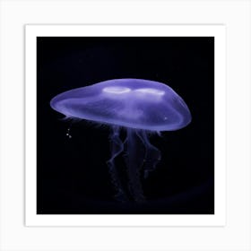 Jellyfish - Jellyfish Stock Videos & Royalty-Free Footage Art Print