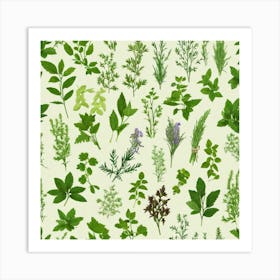 Seamless Pattern Of Herbs 10 Art Print