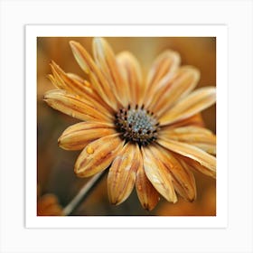 Yellow Daisy Art Print