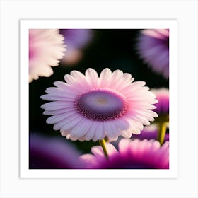 Pink Daisy Art Print