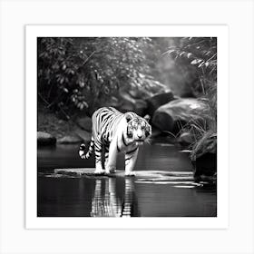 White Tiger 6 Art Print