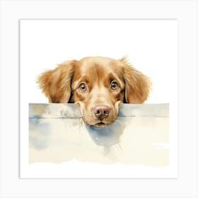 Golden Retriever 12 Art Print