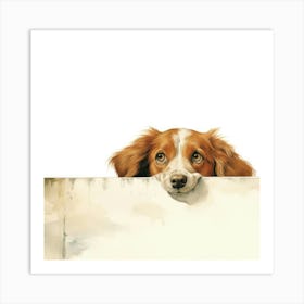 Setter Irish 2 Art Print