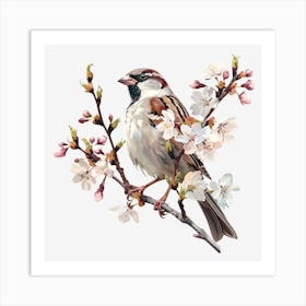 Sparrow Art Print