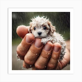 Puppy In The Rain Art Print