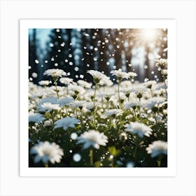 White Chrysanthemums Art Print