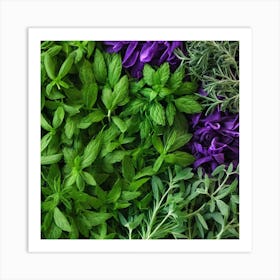 Sprigs Of Herbs Art Print