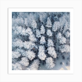 Aerial View Of Snow Covered Forest Art Print