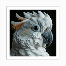 White Cockatoo Art Print