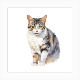 American Wirehair Shorthair Cat Portrait 3 Art Print