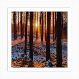 Sunrise In The Forest 29 Art Print