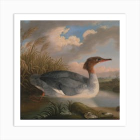 Duck In The Water Art Print