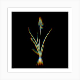 Prism Shift Hyacinthus Viridis Botanical Illustration on Black n.0006 Art Print