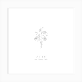 Aster Birth Flower Square Art Print