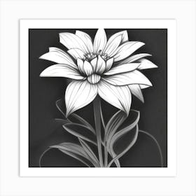 Dahlia Black and White Art Print