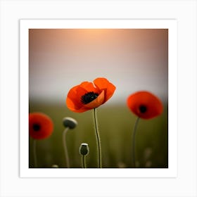 Poppy Field Art Print