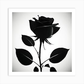 Black Rose modern art Art Print