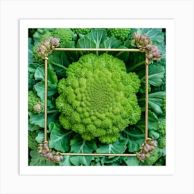 Florets Of Broccoli 24 Art Print