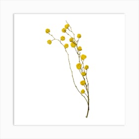 Yellow Flowers Art Print