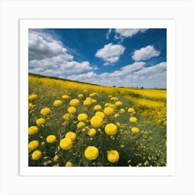 Field Of Yellow Flowers 1 Art Print