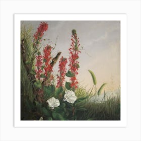 Wildflowers Art Print