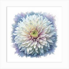 Close Up Of White Chrysanthemum Art Print