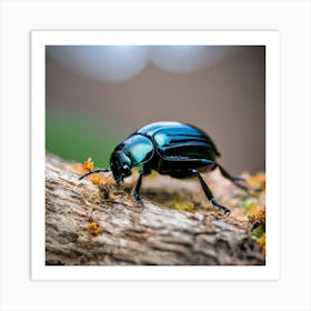 Beetle 2 Art Print