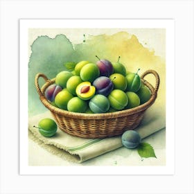 Watercolor's Basket Full Of Plums 1 Poster