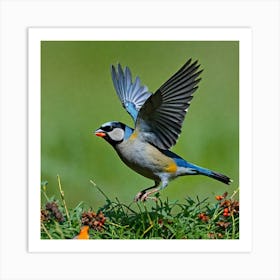 Finch Art Print