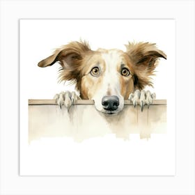 Collie Dog 2 Art Print