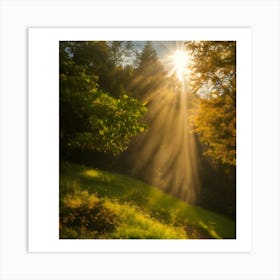 Sunbeams Through The Trees Art Print