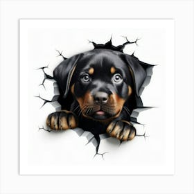 Rottweiler Puppy 2 Art Print