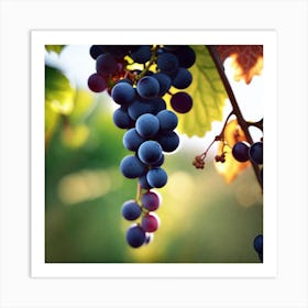 Grapes On The Vine 43 Art Print