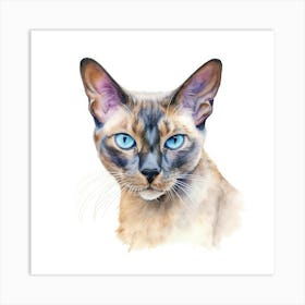 Thai Cat Portrait Art Print