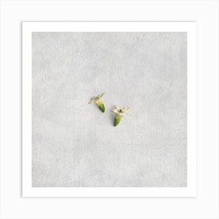 Tiny White Florals Square Art Print
