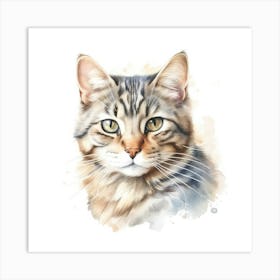 Brazilian Shorthair Longhair Cat Portrait 2 Art Print