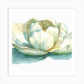 Lotus Flower 2 Art Print