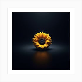 Photograph - Sunflower On Black Background Art Print