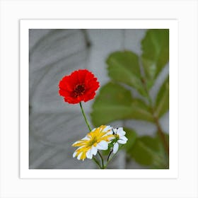 Two Red Flowers Art Print