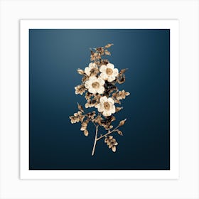 Gold Botanical Thornless Burnet Rose on Dusk Blue n.0807 Art Print