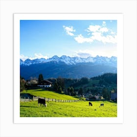 Alpine Pastoral Landscape Cows Grazing On Lush Green Slopes Snow Capped Mountains In The Distance (4) Art Print