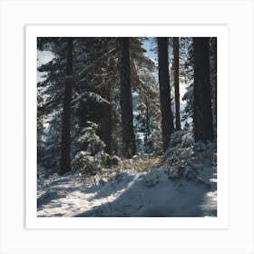 Snowy Forest 2 Art Print