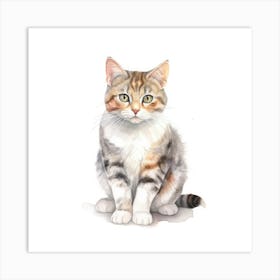 American Wirehair Shorthair Cat Portrait 1 Art Print