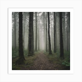 Foggy Forest Path 1 Art Print