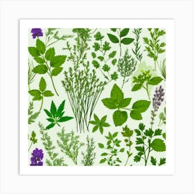 Set Of Herbs Art Print