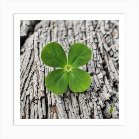 Four Leaf Clover Art Print